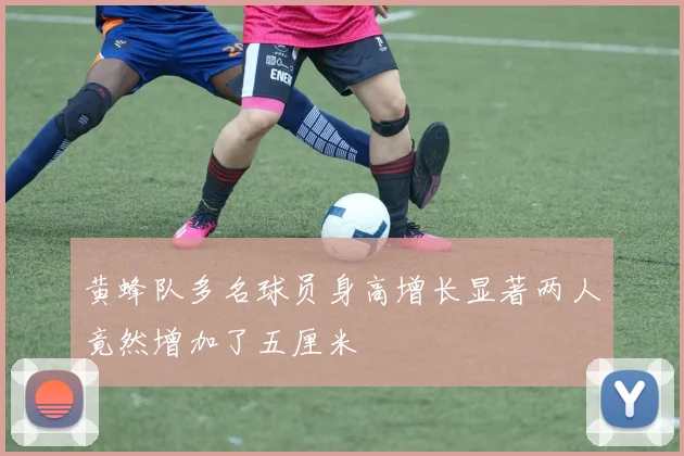 黄蜂队多名球员身高增长显著两人竟然增加了五厘米